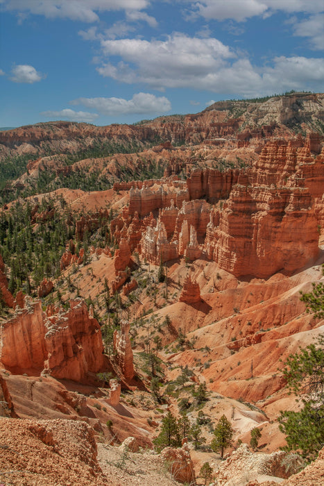 Bryce Canyon National Park Vertical View Panel