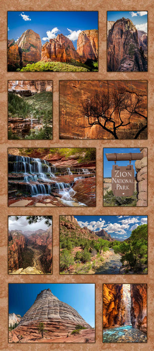 Zion National Park Composite Panel