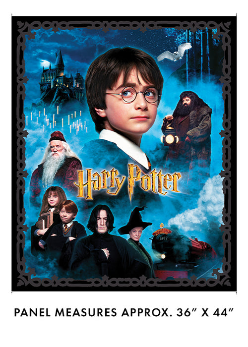 Harry Potter 36" Panel