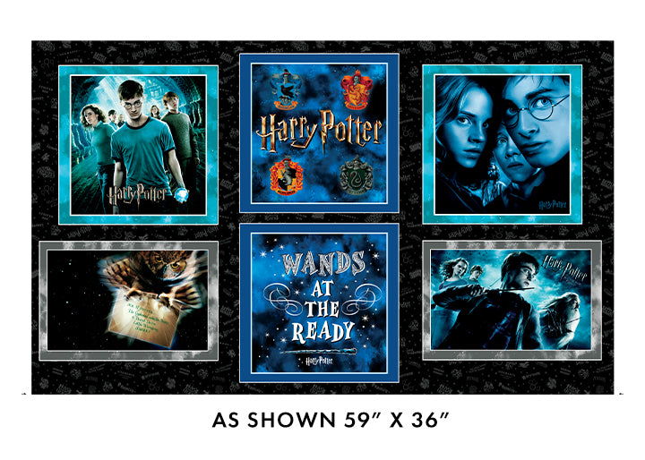 Harry Potter 36" Pillow Panel