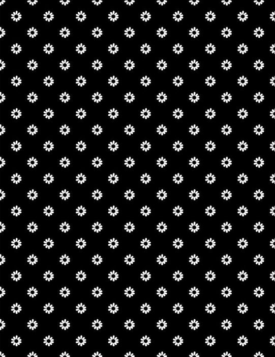 Shadow Blooms 3068-40060-911 Black