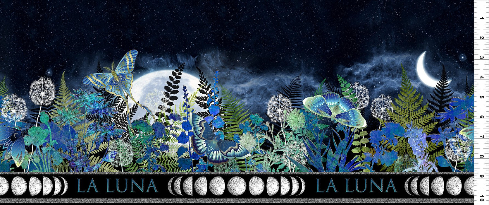 La Luna 3LL-1M Blue/Silver Border