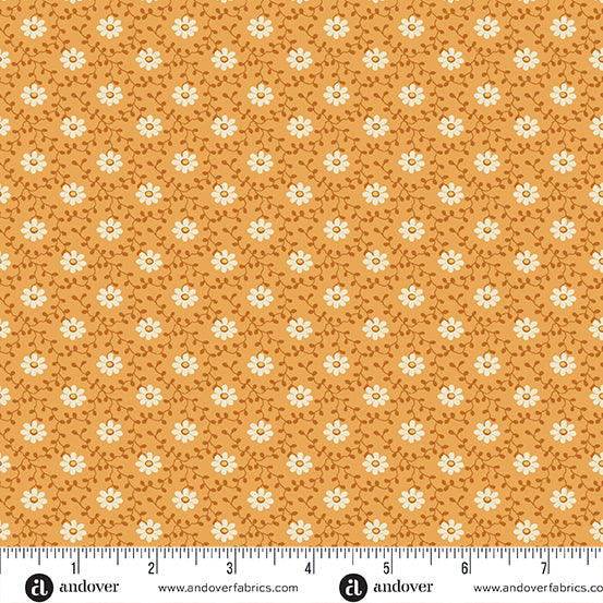 Pumpkin Licorice A-1101-O Daisy Pumpkin