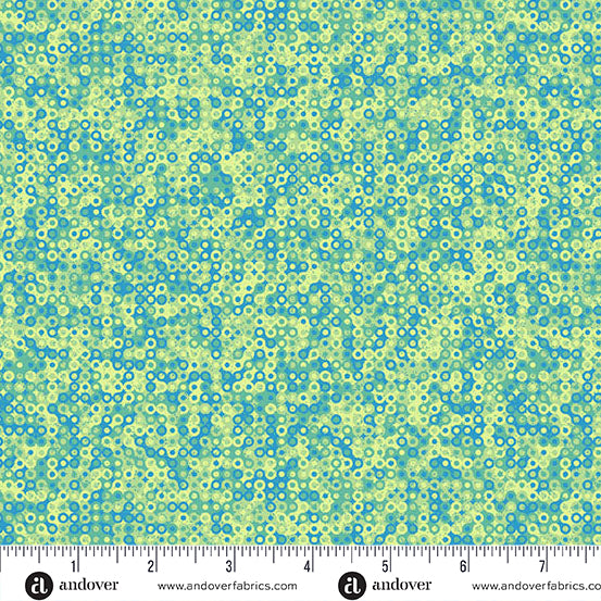 Molly's Magic A-1505-G Cymbidium