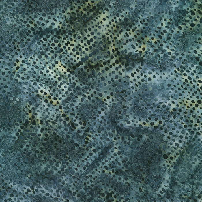 Patterns in Nature Batiks AMD-22683-335 Shale