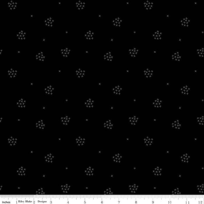 Blackout C16245-Black Black