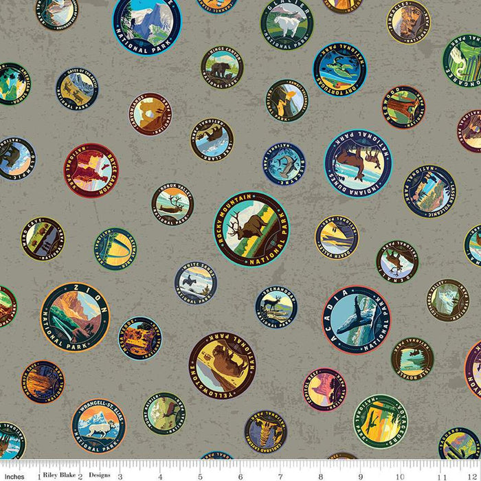 National Parks CD13292-Gray Gray