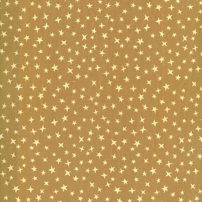 Stargazer CX12086-TAUP Taupe