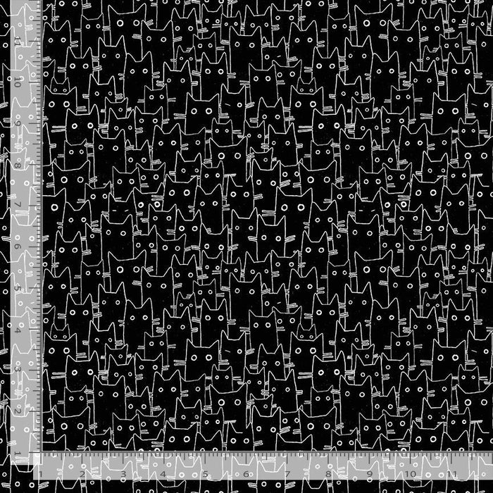 Having a Meowment DLW2659-JET Jet