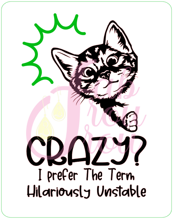 Crazy Unstable Cat Magnet