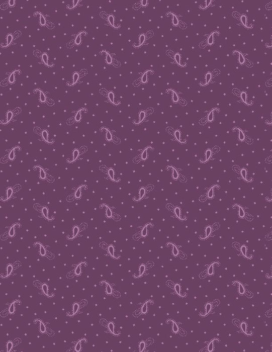 Rainbow Sampler Purple - (1)