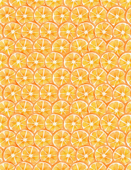Squeeze the Day Orange