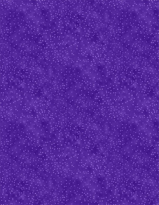 Live Out Loud Violet