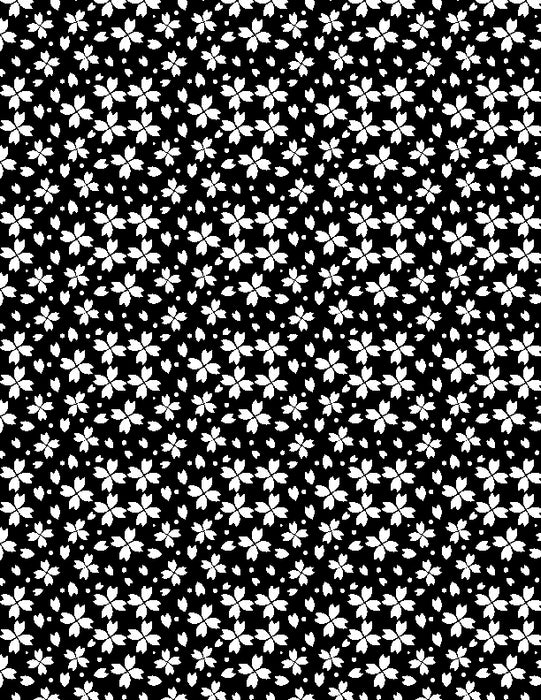 Illusion Black and White - (14)