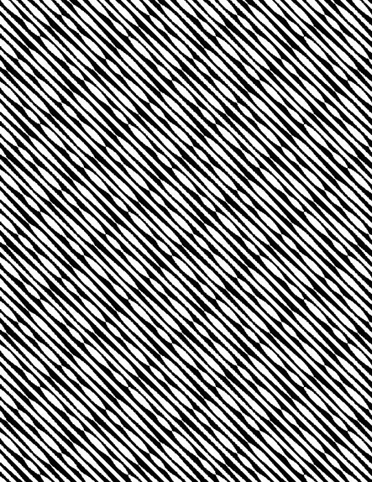 Illusion Black and White - (11)
