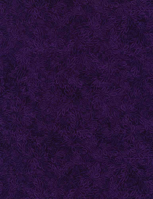 Meadow Purple