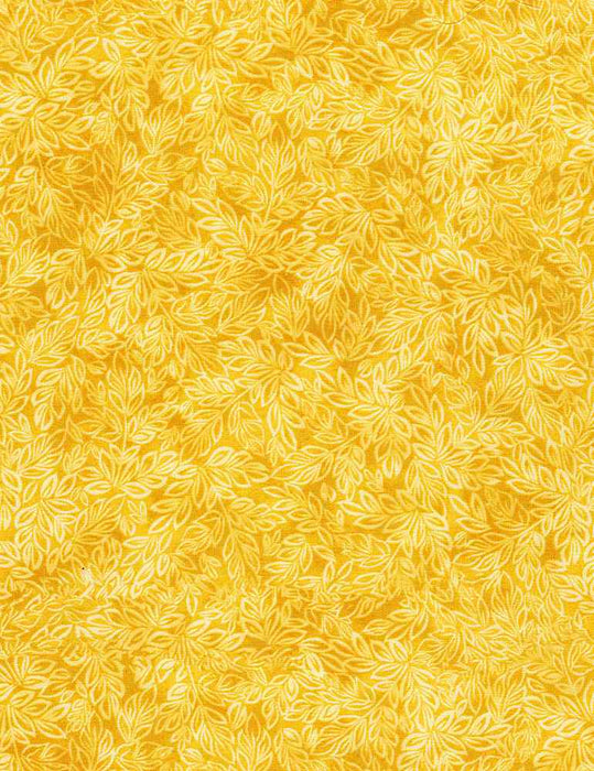 Meadow Yellow