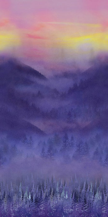 Jewel Basin Misty Mountain Violet