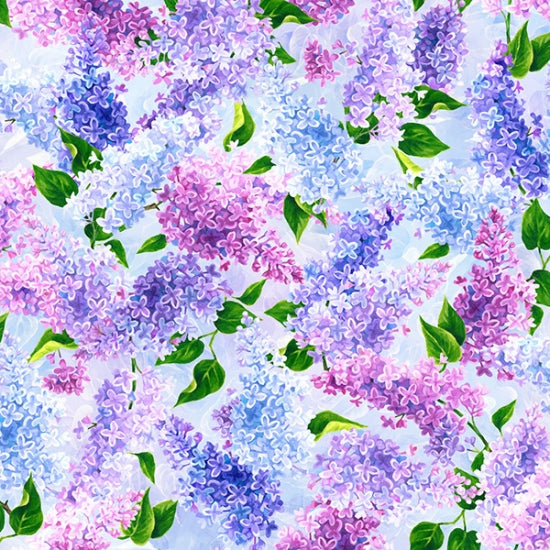 Spring Song Lilac