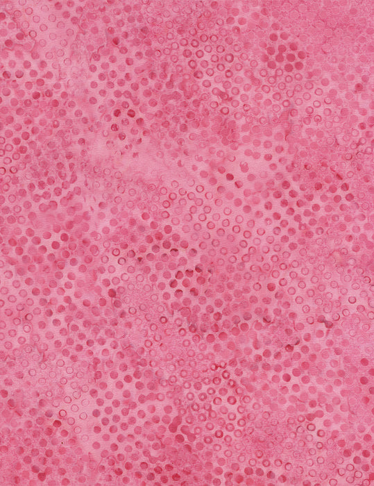 Tonga Batiks Pink - (3)