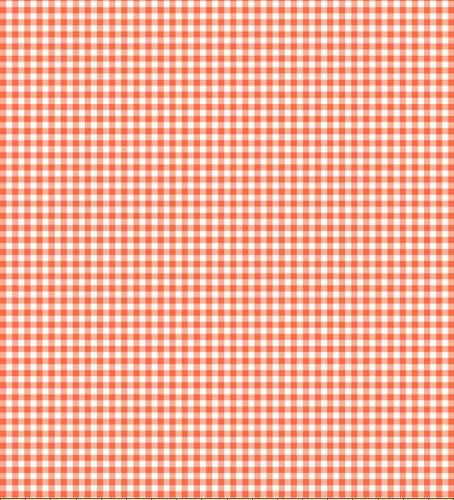Gingham Check Light Coral